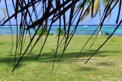 IMG_20250611_135531