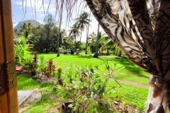 IMG_20250611_142122
